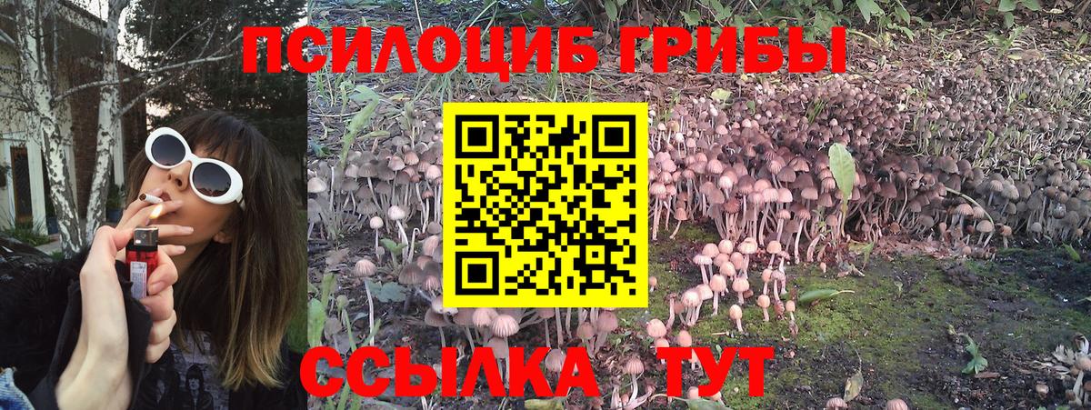 Галлюциногенные грибы MAGIC MUSHROOMS Москва