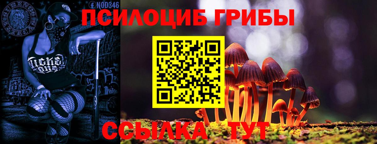 Москва  Псилоцибиновые грибы ЛСД  Вход с VPN 